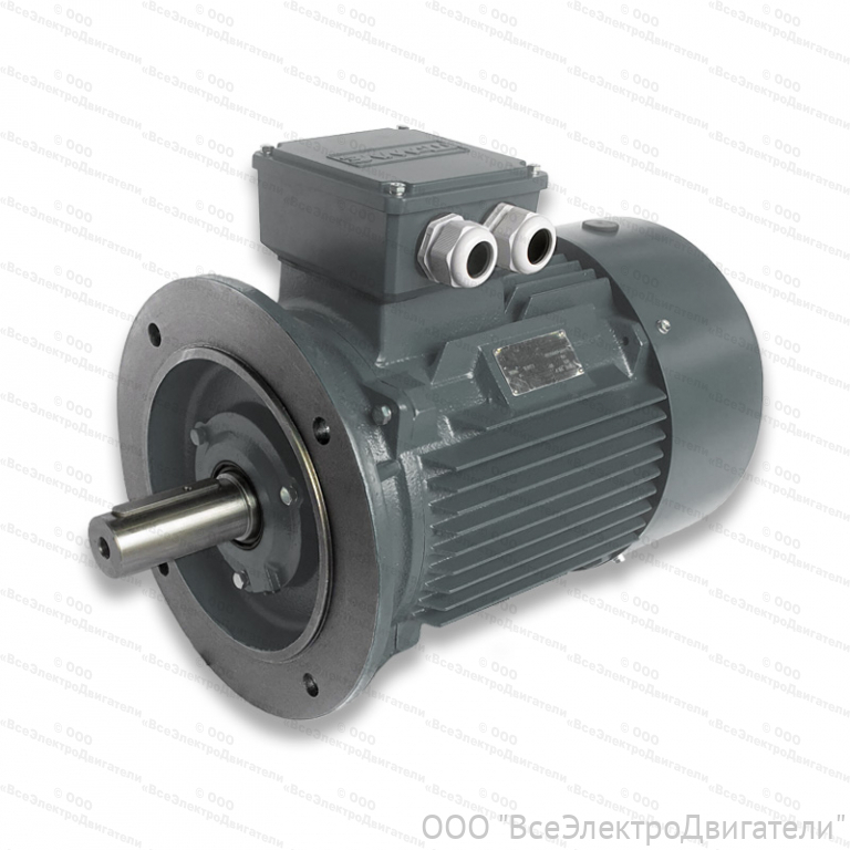 Электродвигатель ЭЛМАШ АИС 355 LC4 IM3001 (B5) (355 кВт 1500 об/мин)